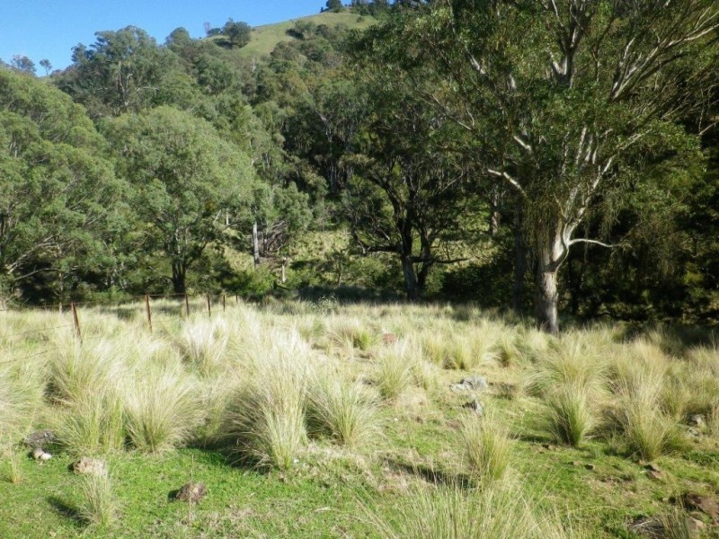 . Twin Hills & Mt Buckland, Scone NSW 2337