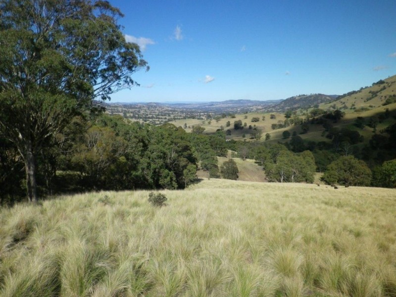 . Twin Hills & Mt Buckland, Scone NSW 2337