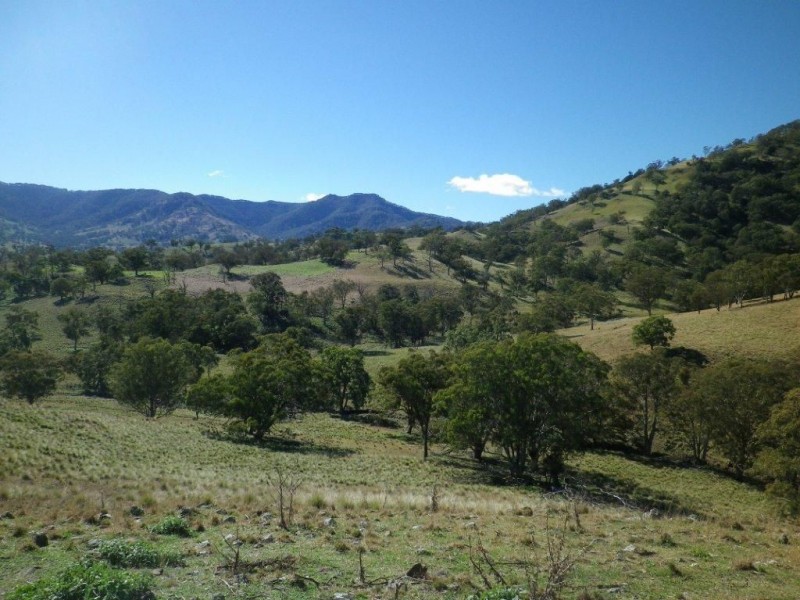 . Twin Hills & Mt Buckland, Scone NSW 2337