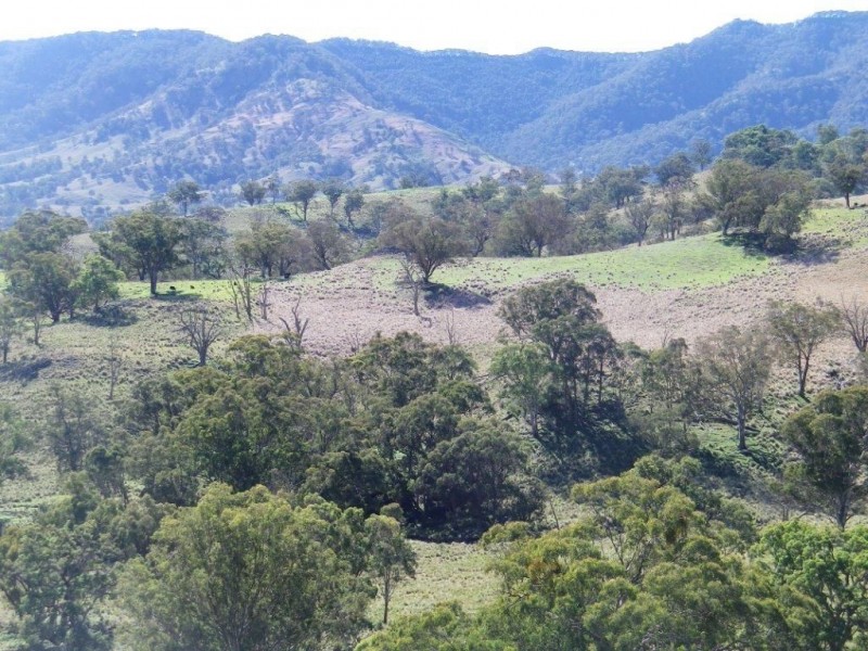 . Twin Hills & Mt Buckland, Scone NSW 2337