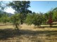 . Marple, Scone NSW 2337