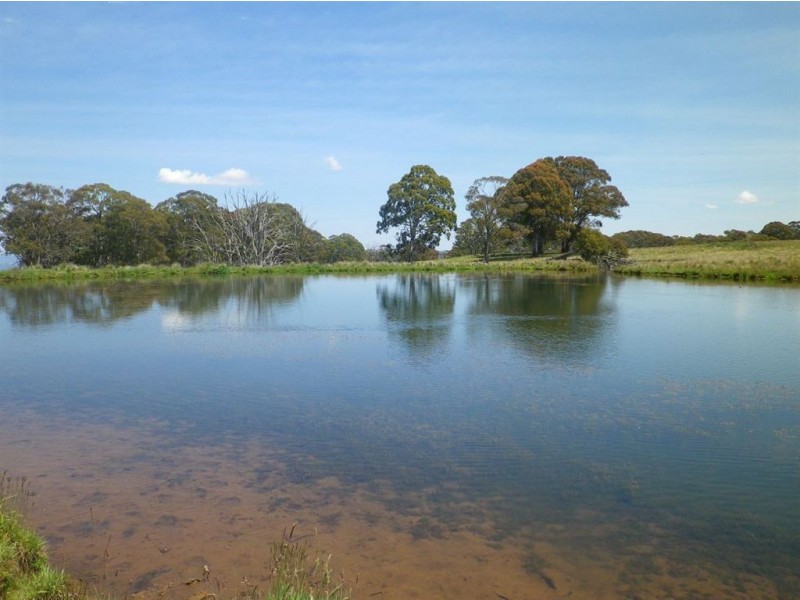 . Milmilland, Scone NSW 2337