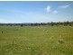 . Milmilland, Scone NSW 2337