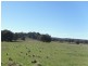 . Milmilland, Scone NSW 2337
