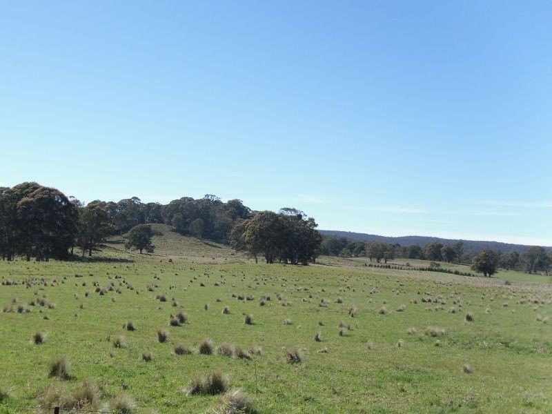 . Milmilland, Scone NSW 2337