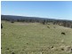 . Milmilland, Scone NSW 2337