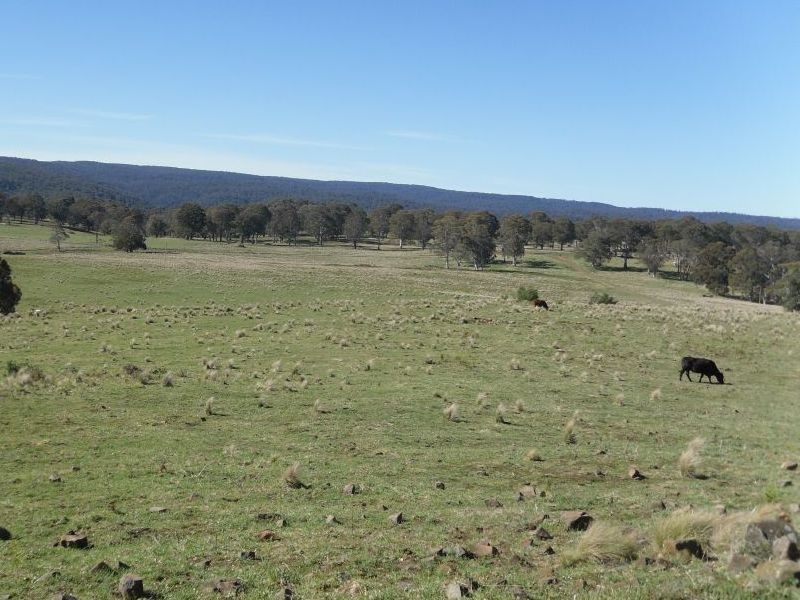 . Milmilland, Scone NSW 2337