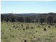 . Milmilland, Scone NSW 2337