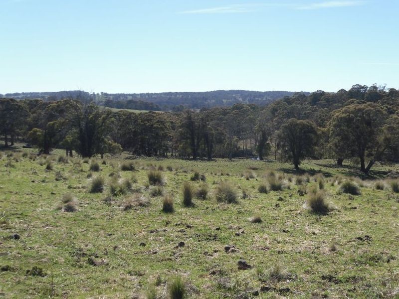 . Milmilland, Scone NSW 2337