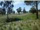 . Milmilland, Scone NSW 2337