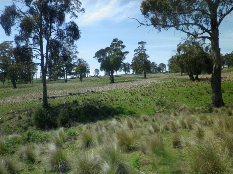 . Milmilland, Scone NSW 2337