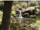 . Milmilland, Scone NSW 2337