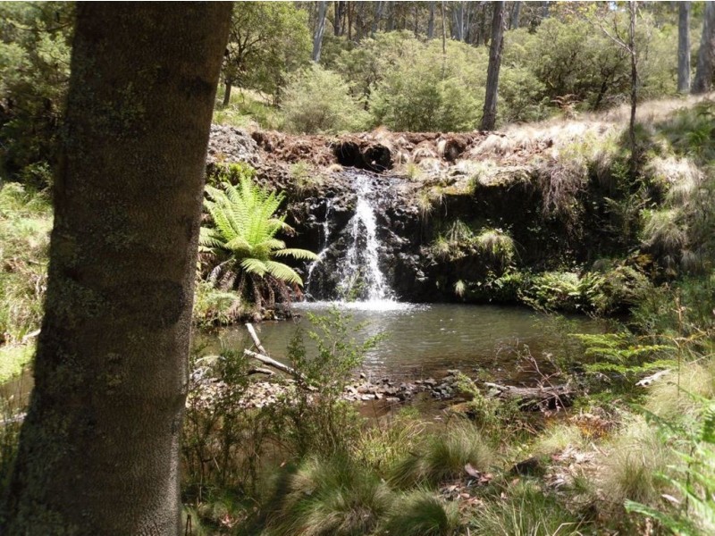 . Milmilland, Scone NSW 2337