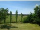 . Milmilland, Scone NSW 2337