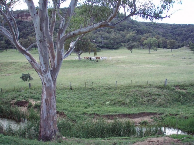 . Google Rock, Sandy Hollow NSW 2333