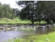 . Brindabella Blue, Nundle NSW 2340