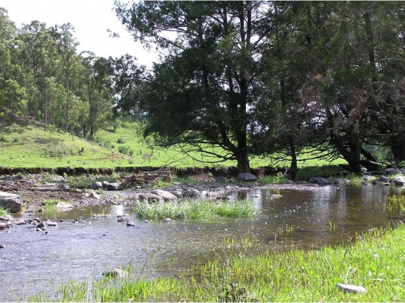 . Brindabella Blue, Nundle NSW 2340