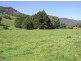 . Brindabella Blue, Nundle NSW 2340