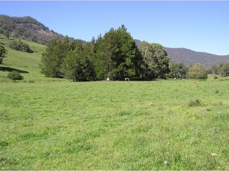 . Brindabella Blue, Nundle NSW 2340