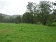 . Brindabella Blue, Nundle NSW 2340