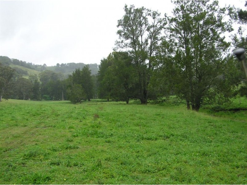 . Brindabella Blue, Nundle NSW 2340