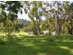 . Brindabella Blue, Nundle NSW 2340