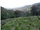 . Claremont, Merriwa NSW 2329