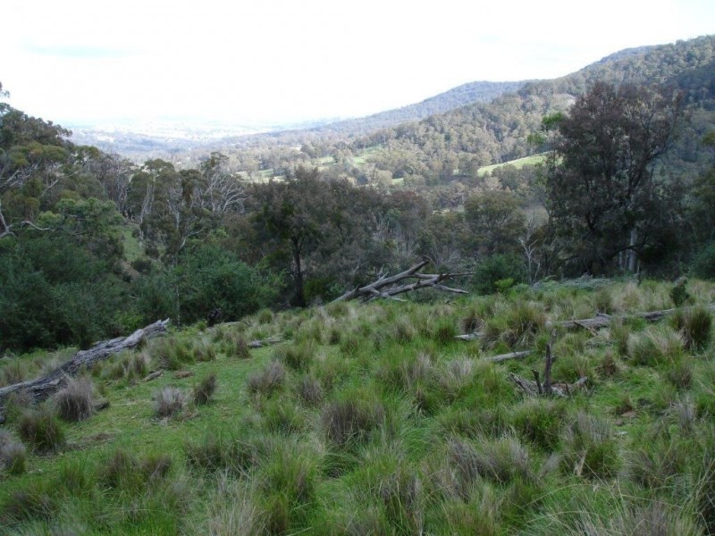 . Claremont, Merriwa NSW 2329