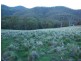 . Claremont, Merriwa NSW 2329
