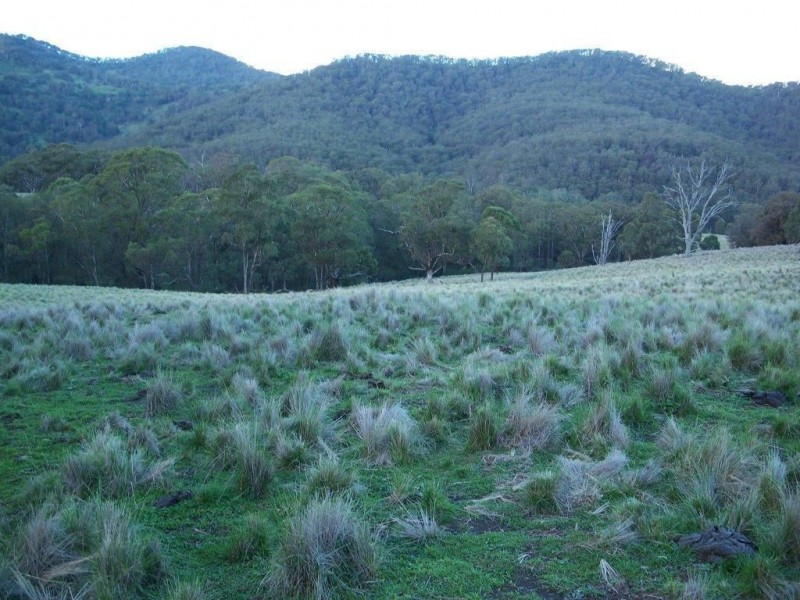 . Claremont, Merriwa NSW 2329