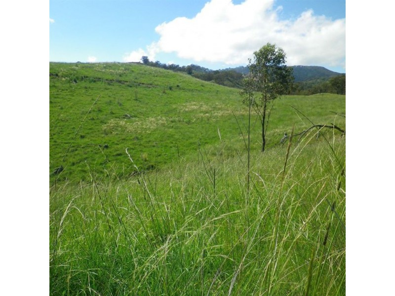 . Sempills Station, Ellerston Via, Scone NSW 2337