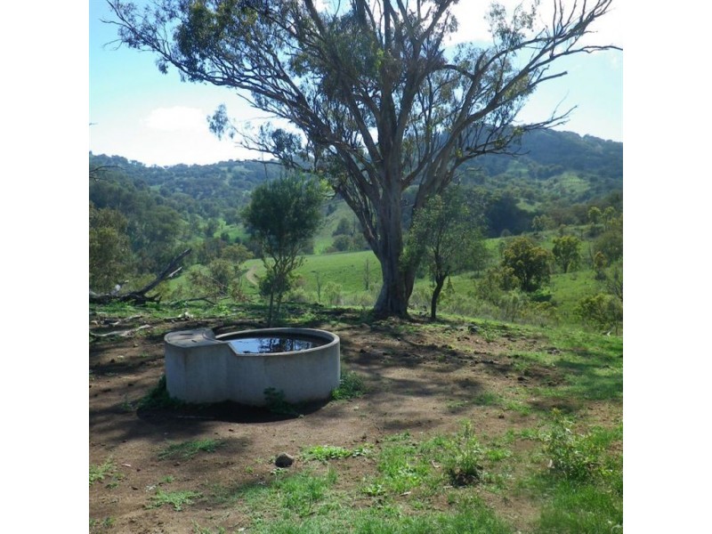. Sempills Station, Ellerston Via, Scone NSW 2337