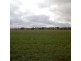 888 Comiala Rd, “Glencoe”, Cassilis NSW 2329
