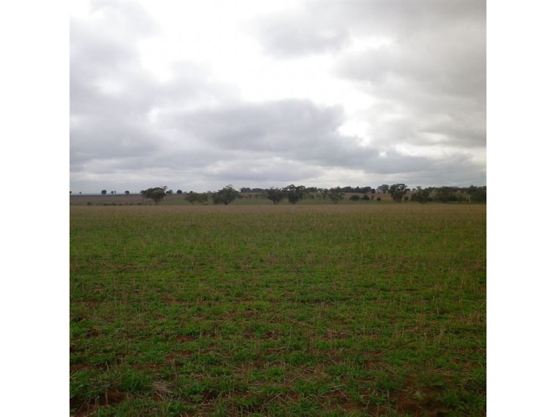 888 Comiala Rd, “Glencoe”, Cassilis NSW 2329