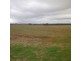 888 Comiala Rd, “Glencoe”, Cassilis NSW 2329