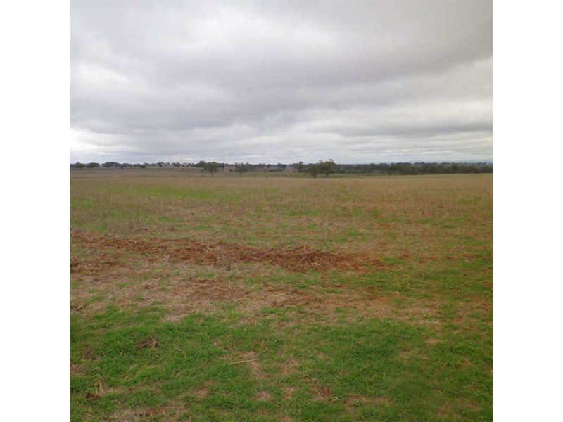 888 Comiala Rd, “Glencoe”, Cassilis NSW 2329