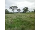 888 Comiala Rd, “Glencoe”, Cassilis NSW 2329
