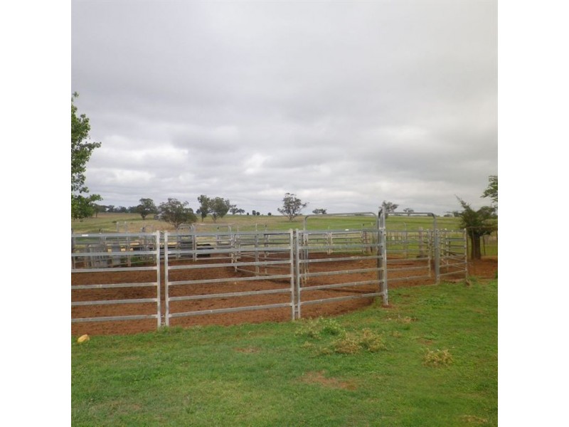 888 Comiala Rd, “Glencoe”, Cassilis NSW 2329
