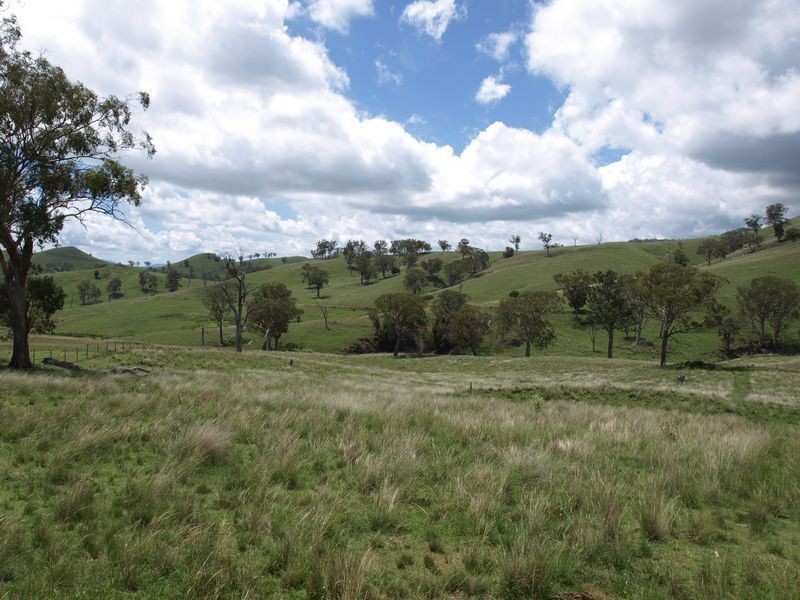 . Everleigh, Timor NSW 2338