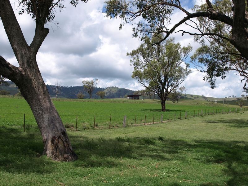 . Everleigh, Timor NSW 2338