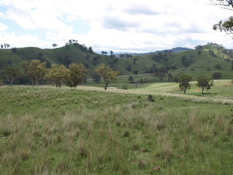 . Everleigh, Timor NSW 2338