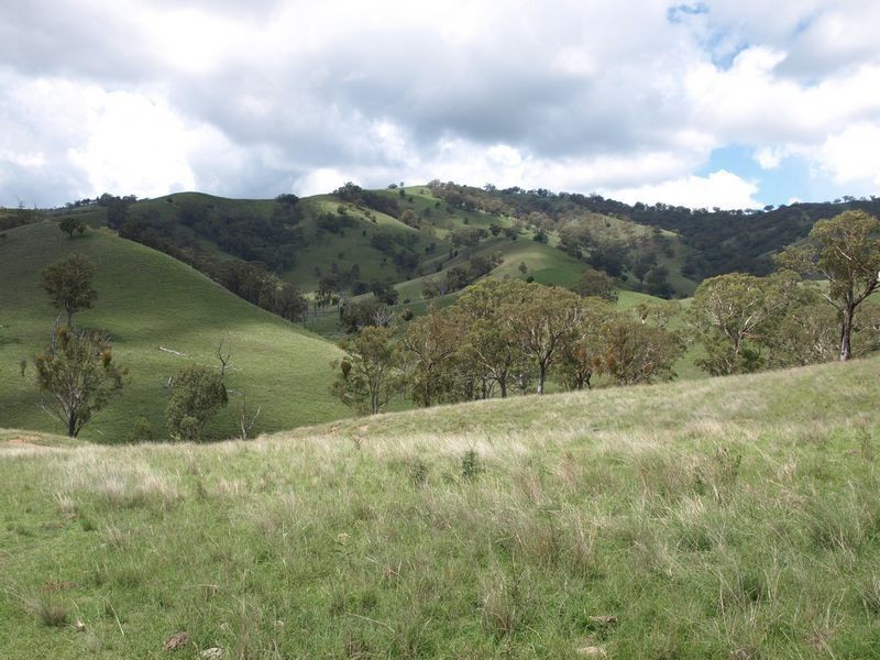 . Everleigh, Timor NSW 2338