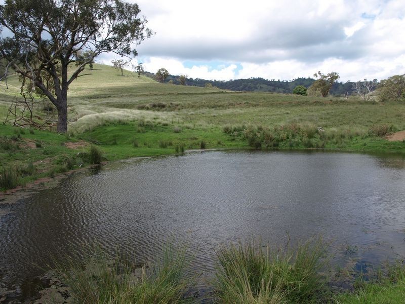 . Everleigh, Timor NSW 2338