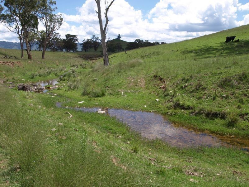 . Everleigh, Timor NSW 2338