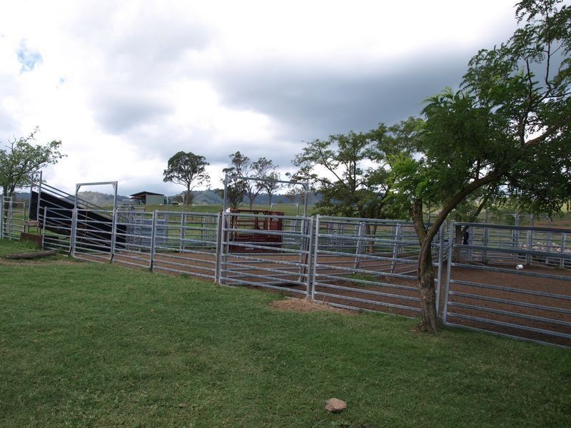 . Everleigh, Timor NSW 2338