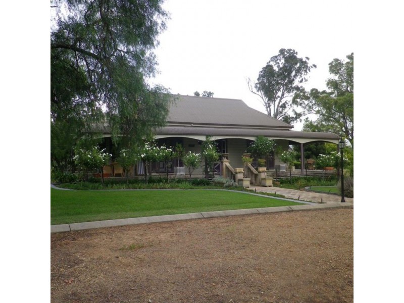 . Dalmore, Scone NSW 2337