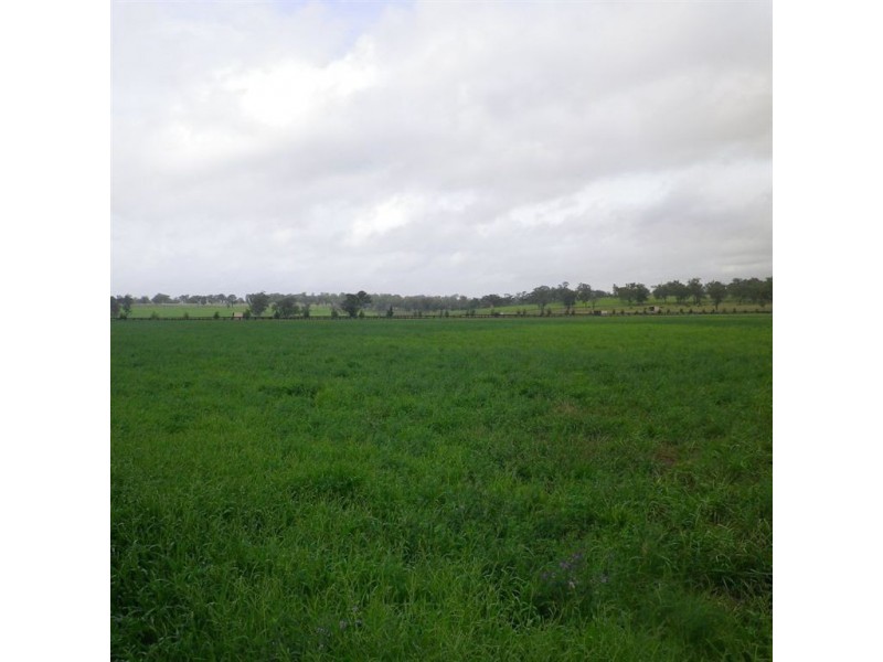 . Dalmore, Scone NSW 2337