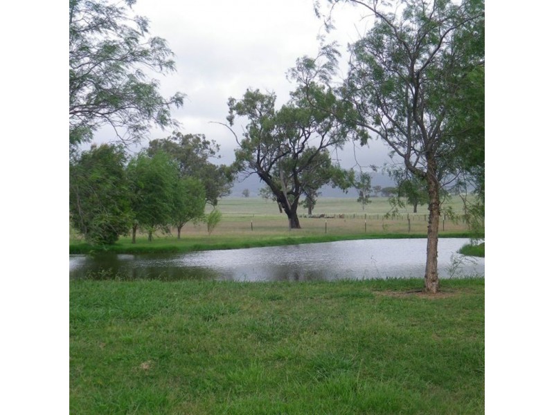 . Dalmore, Scone NSW 2337