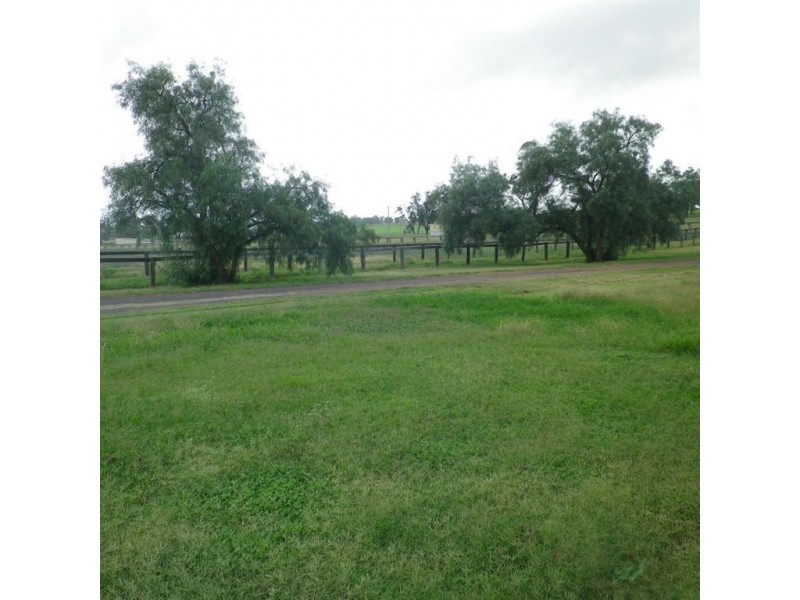 . Dalmore, Scone NSW 2337