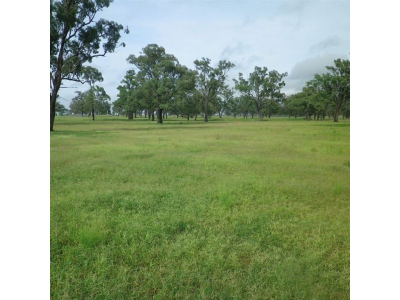 . Dalmore, Scone NSW 2337